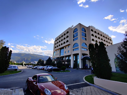 Отель Aleksandar Palace
